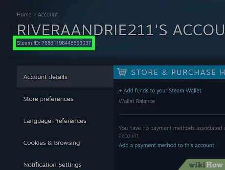 Steam ID